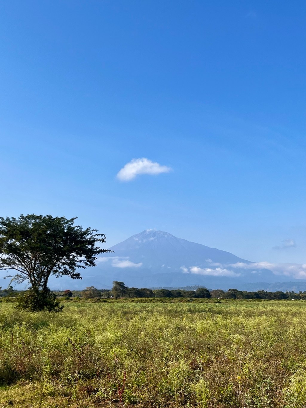 Geschützt: Mount Meru Hospital – Arusha – Einführung und&nbsp;Grundlegendes